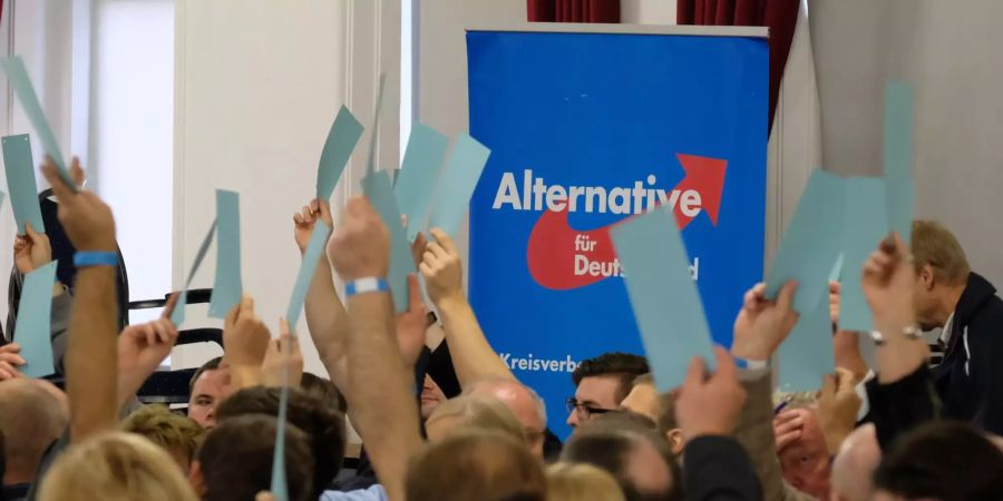 Teilnehmer des Landesparteitages der AfD Sachsen-Anhalt heben ihre Stimmzettel.