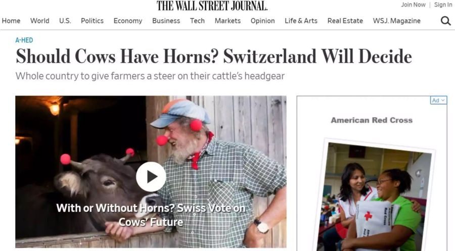 Laut dem Wall Street Journal entscheidet die Schweiz über die zentrale Frage, ob Küher nun Hörner haben sollen oder nicht.