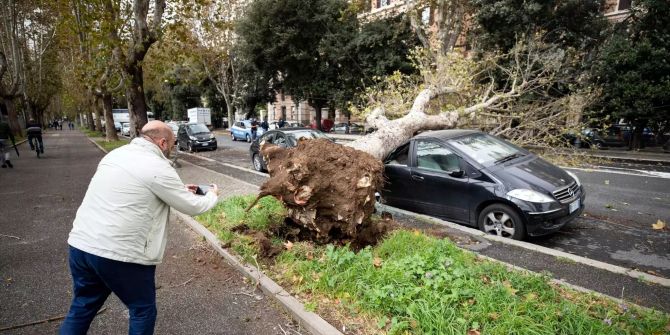 Ein Mann fotografiert in Rom einen umgestürzten Baum, der bei heftigen Unwettern mit Starkregen und Sturmböen entwurzelte und auf ein Auto kippte.