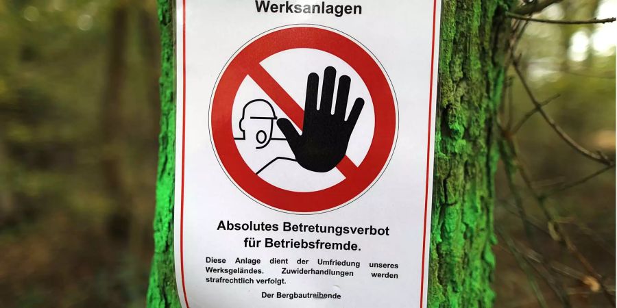 Ein mit Farbe besprühter Baum und ein Hinweisschild «Absolutes Betretungsverbot für Betriebsfremde» markieren den Rand des Hambacher Forstes (D).