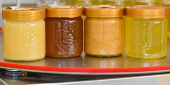Pro Bienenvolk Wurden 23 2 Kilogramm Honig Geerntet