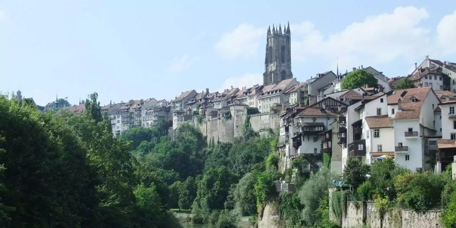 Die freiburger Altstadt.