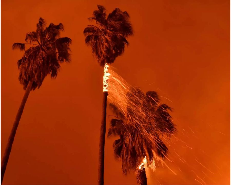 Das Feuer brach unweit der Ortschaft Ventura zwischen Santa Barbara und Los Angeles aus.