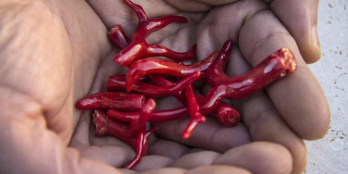 Korallenrot soll im Jahr 2019 Trendfarbe werden.