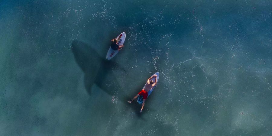 Zwei Surfer paddeln im Meer.