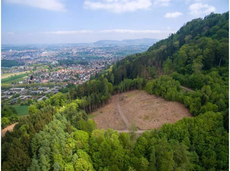 Luftaufnahme Baugebiet: Nach Bauende wird die gerodete Fläche wieder aufgeforstet, dereinst soll an diesem Standort eine ökologisch wertvolle Waldfläche entstehen. © Gemeinde Köniz