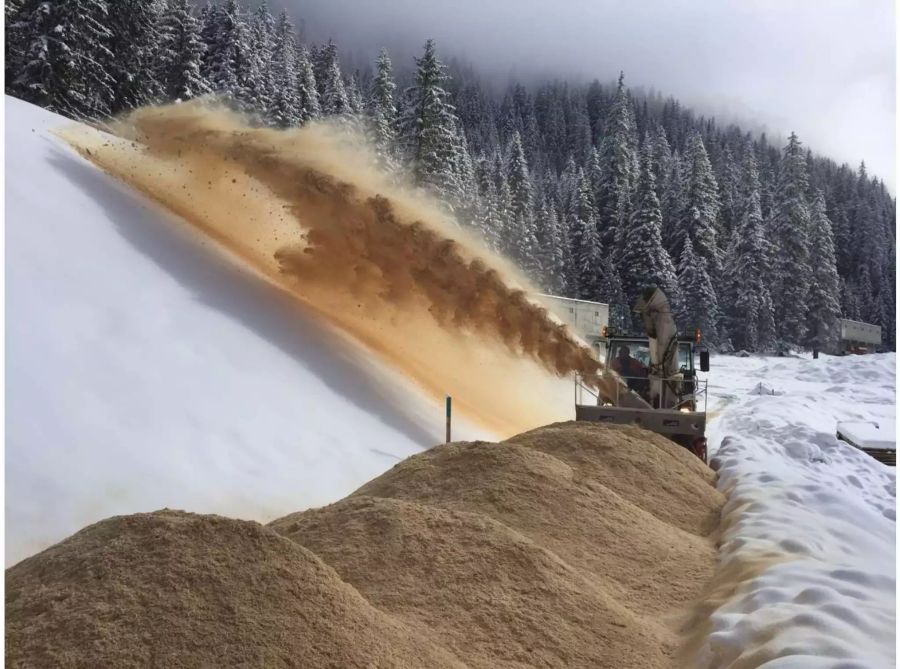 Eine Schneemenge von 1000 Lastwagen wird mit Sägemehl zugedeckt.