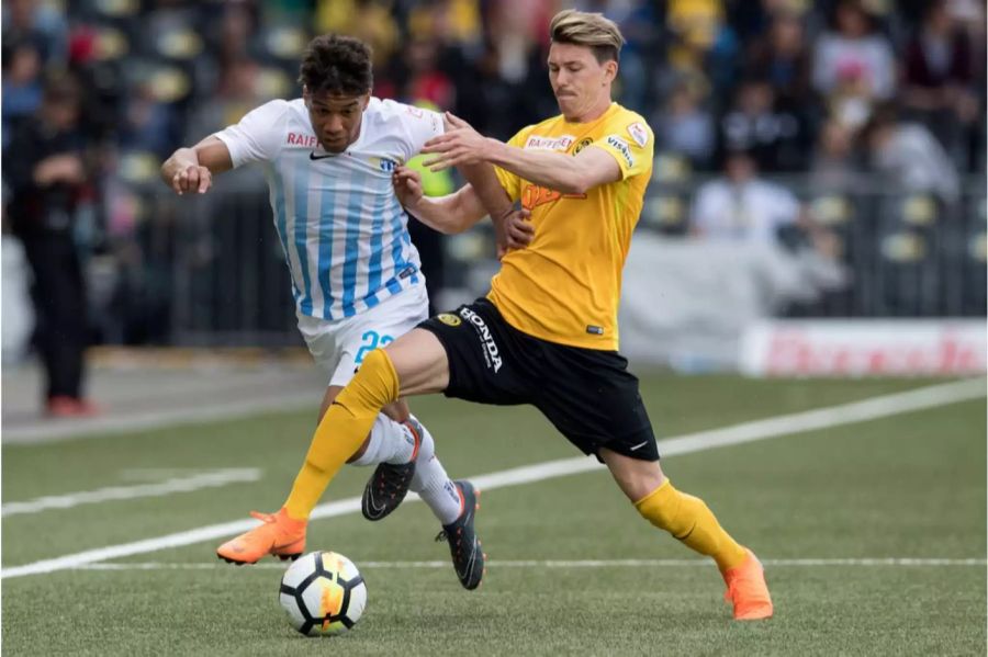 Im Cupfinal kommt es zum Duell zwischen dem FC Zürich (links, Kevin Rüegg) und den Young Boys (rechts, Christian Fassnacht).