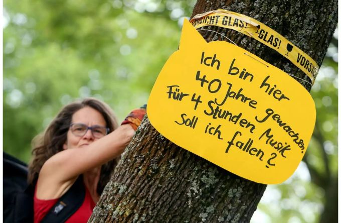 Umweltschützer wehren sich gegen die Verpflanzung von 104 Bäumen Umweltschützer wehren sich gegen die Verpflanzung von 104 Bäumen