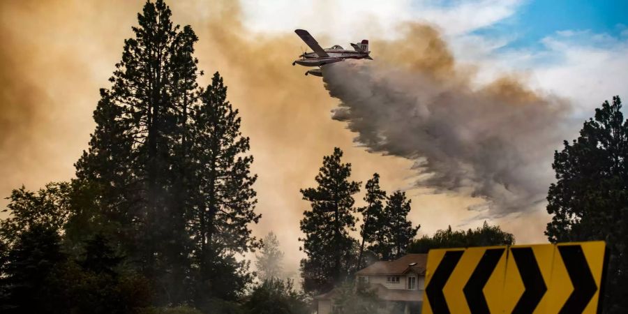 Ein Wasserflugzeug lässt Wasser auf das Silver Lake Feuer in Kalifornien (USA) ab.