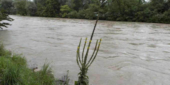 Interlaken - Aus Aare geborgene Frau im Spital verstorben