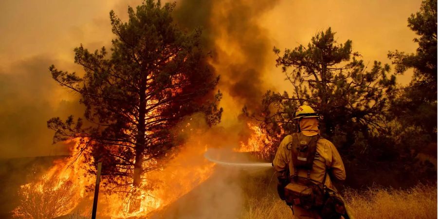 Die zahlreichen Feuerwehrleute versuchen die Brände einzudämmen — bislang erfolglos.