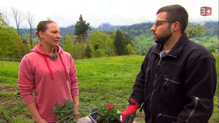 Pascal hat keine Chance bei Annelies. Die Bäuerin beendet die Hofwoche.