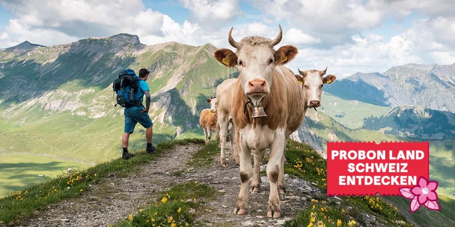 Probon Schweiz