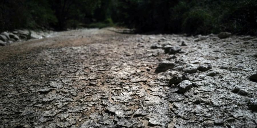 Trockenheit in Frankreich