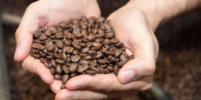 Bei fertig gerösteten Kaffeebohnen gibt es festgelegte Richtwerte für den Acrylamidgehalt, die Lebensmittelunternehmer beachten müssen. Bei selbst gerösteten Bohnen hat man darüber keinerlei Überblick. Bei fertig gerösteten Kaffeebohnen gibt es festgelegte Richtwerte für den Acrylamidgehalt, die Lebensmittelunternehmer beachten müssen. Bei selbst gerösteten Bohnen hat man darüber keinerlei Überblick.