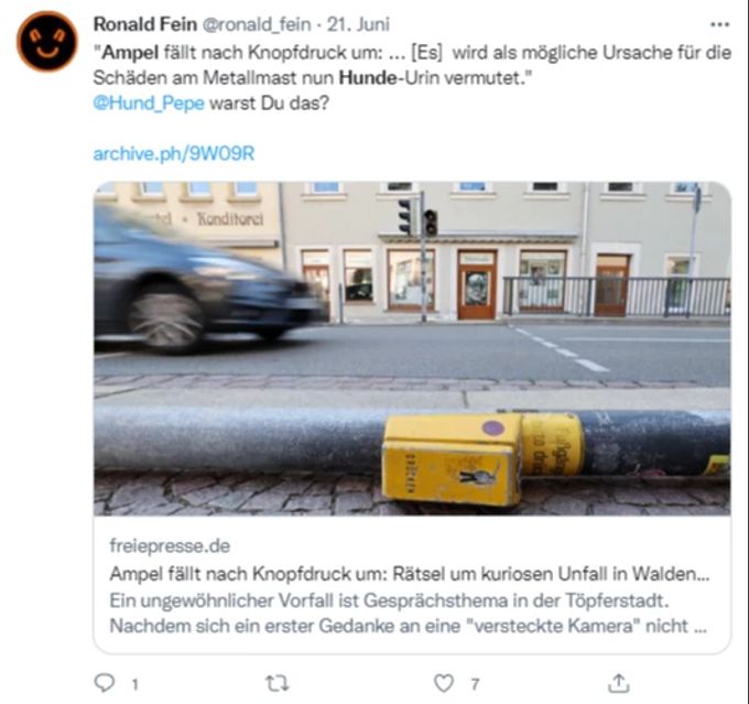 Von Hunden gestürzt: Die Ampel von Waldenburg liegt am Boden. Ampel Hund