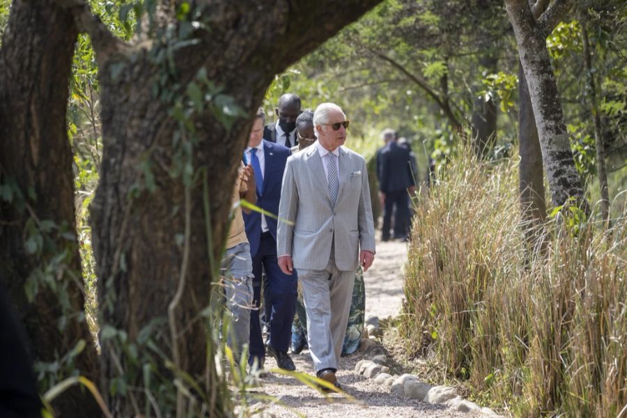 Prinz Charles setzt sich seit langem für die Umwelt ein.