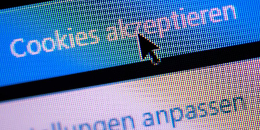 Die Datenschutzgrundverordnung, kurz DSGVO, wird vier Jahre alt. Ist sie ein ürokratisches Monster oder gar ein Datenschutzvorbild?