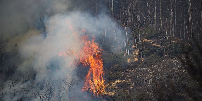 Waldbrand