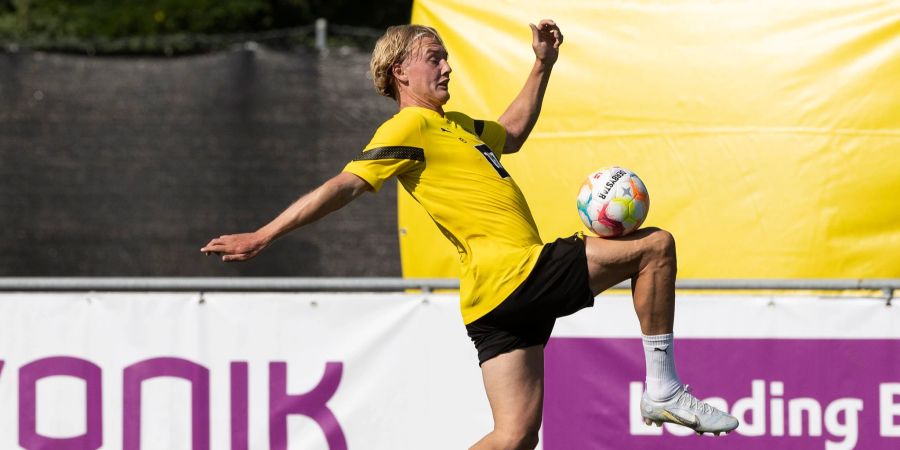 BVB Julian Brandt