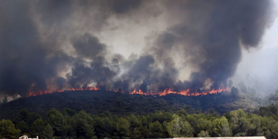 Waldbrand