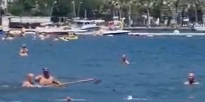 In der Türkei - Schwimmer vertreibt vermeintlichen Hai mit Wischmopp