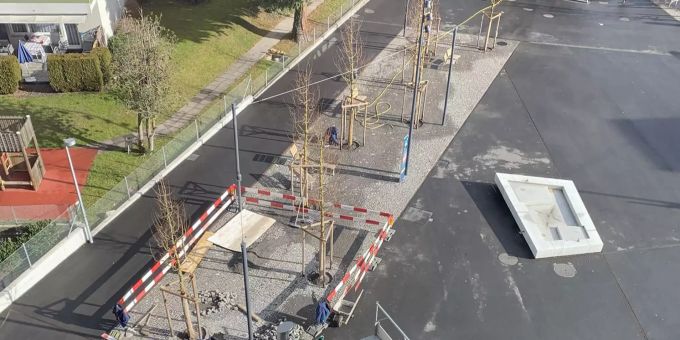Die «ertrunkenen» Bäume in Kriens LU wurden ausgewechselt. kriens