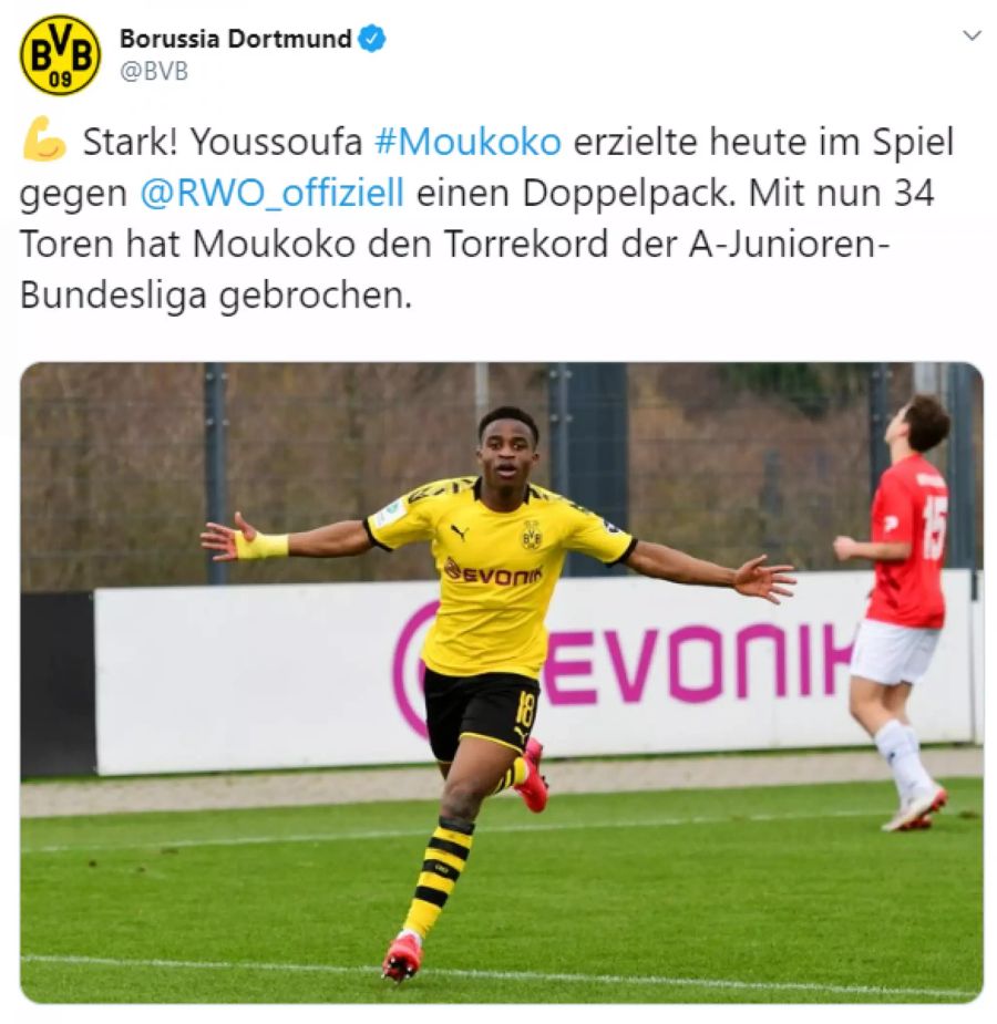 BVB