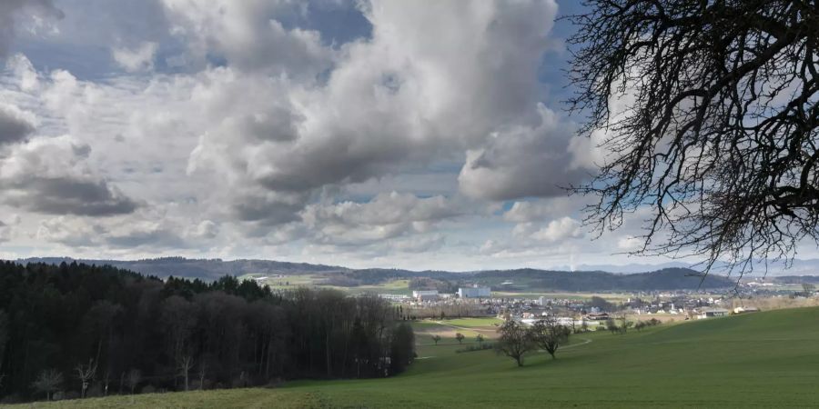 Einfahrtsstrasse Richtung der Gemeinde Hägglingen.