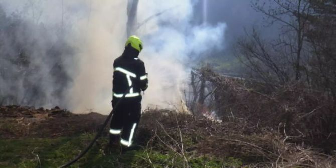 Brand in Gartendeponie