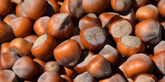 Vitamin B6 - Detaillierte Marktanalyse zu Pyridoxin veröffentlicht