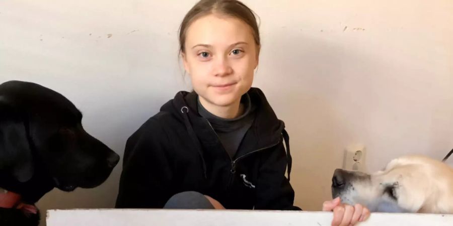 greta thunberg klimatestrikeonline