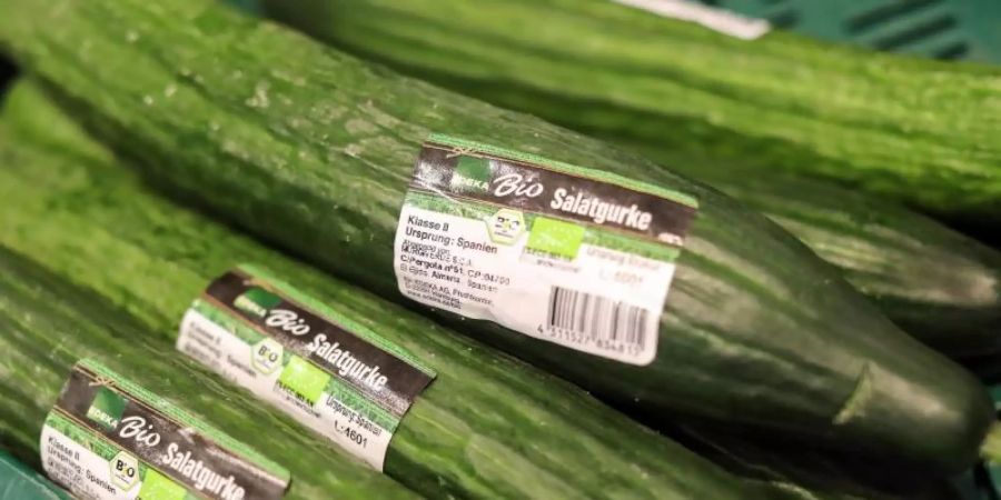 Der Schriftzug «Bio Salatgurke» steht auf Gurken in der Obst- und Gemüseabteilung in einem Supermarkt. Foto: Jan Woitas/dpa-Zentralbild/dpa