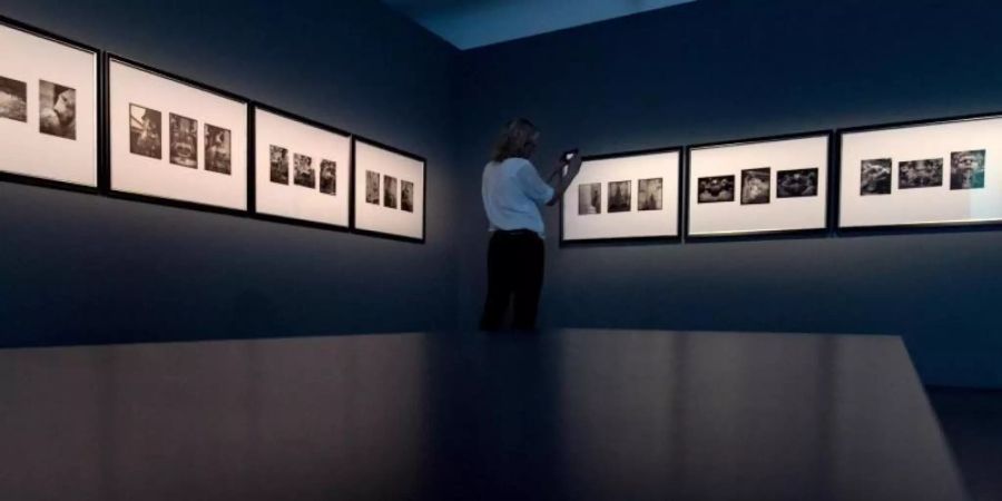 «Karl Lagerfeld. Fotografie. Die Retrospektive» startete im Kunstmuseum Moritzburg in Halle am vergangenen Sonntag. Foto: Hendrik Schmidt/dpa-Zentralbild/ZB