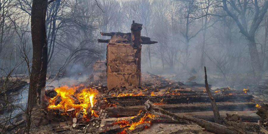 Waldbrände Tschernobyl