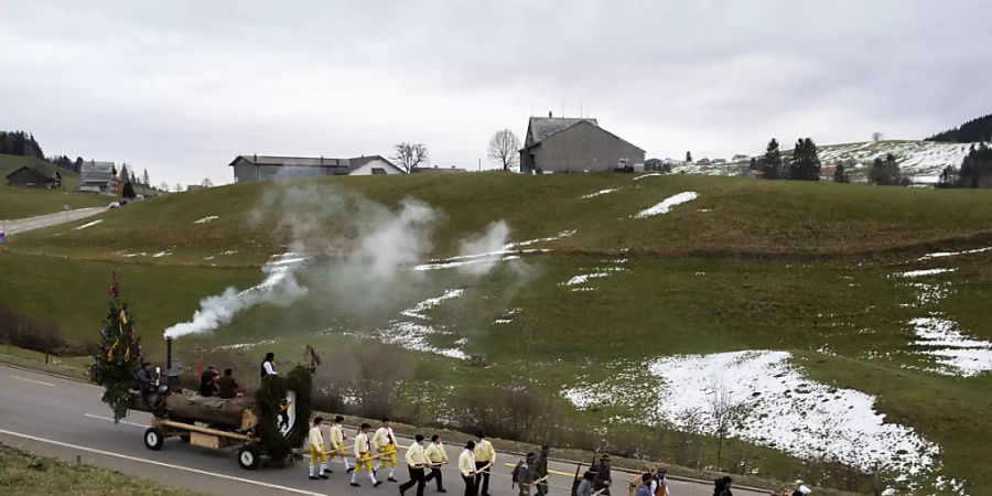 Der Blochmontag markiert in Appenzell Ausserrhoden das Ende der Fasnachtszeit. Verkleidete Männer ziehen dabei einen Baumstamm durch die Dörfer des Appenzeller Hinterlandes.