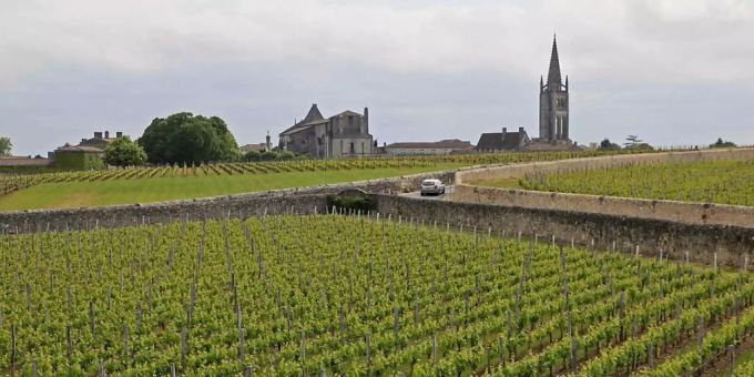Weinfeld in Frankreich. Weinfeld