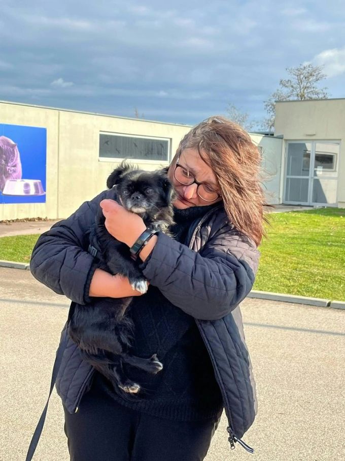 Der Pekinese «Suzi» und ihre Besitzerin sind nach sieben Jahren wieder vereint. hund