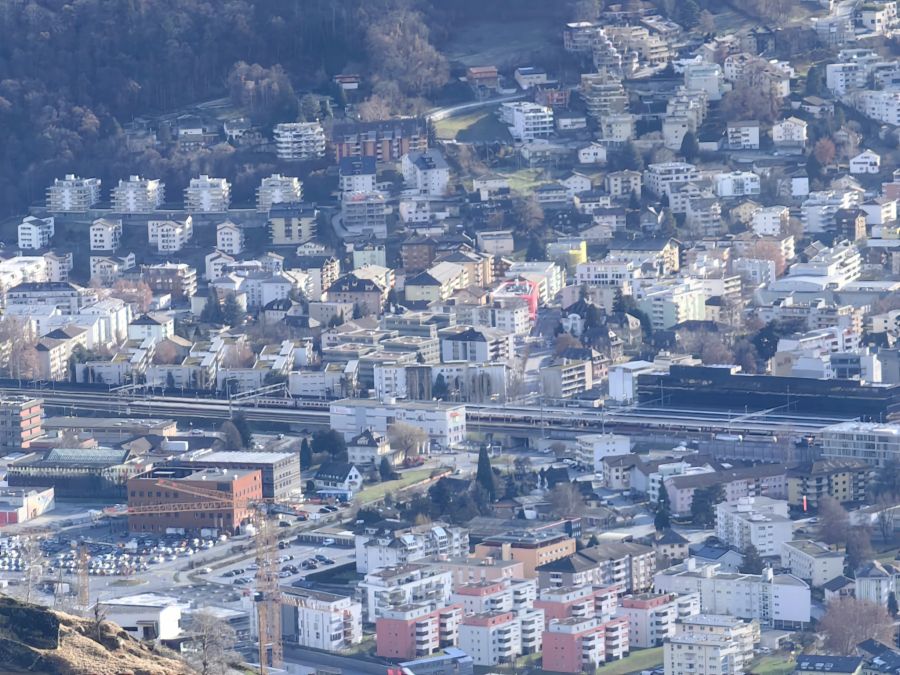 Ab dem 10-fachen Zoom bleibt das Sujet noch erkennbar, wenn auch nicht ganz so hübsch.