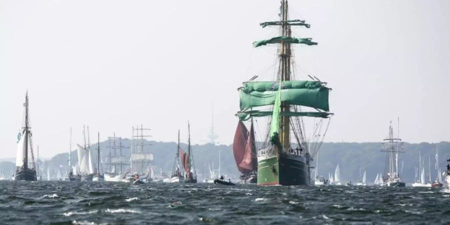 Windjammerparade: Traditionssegler auf Kurs in der Kieler Förde. Foto: Frank Molter/dpa