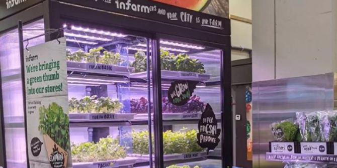 Aldi Kaufland Infarm Kräuter