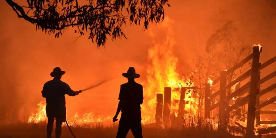 Kampf gegen Waldbrand in New South Wales im November