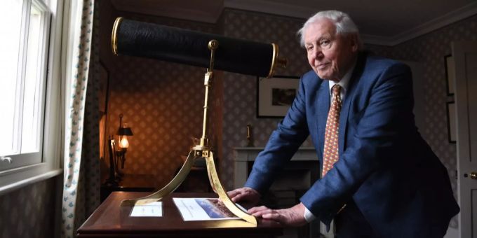 Doku - «Ocean with David Attenborough» zeigt die Magie des Meeres