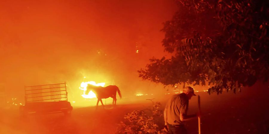 dpatopbilder – Der 84-jährige Bill Nichols versucht sein Haus vor den Flammen zu retten. In Kalifornien kämpfen mehr als 10'000 Feuerwehrleute gegen zwei Dutzend Grossbrände an. Foto: Noah B