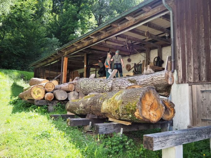 Das Holz kommt meist vom Förster, die Sager bekommen aber auch viel geschenkt. Sagi Bassersdorf