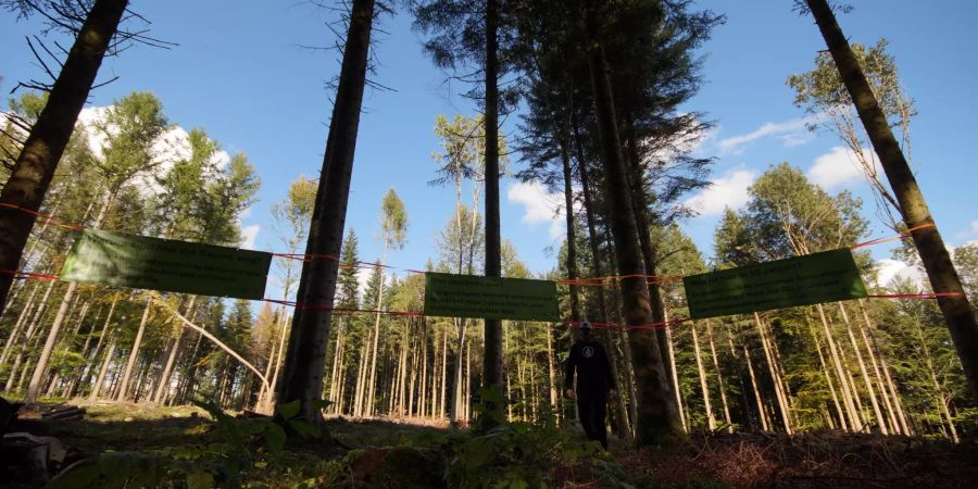 Angehende Umweltberater informieren Waldbesucher am Pfannenstiel