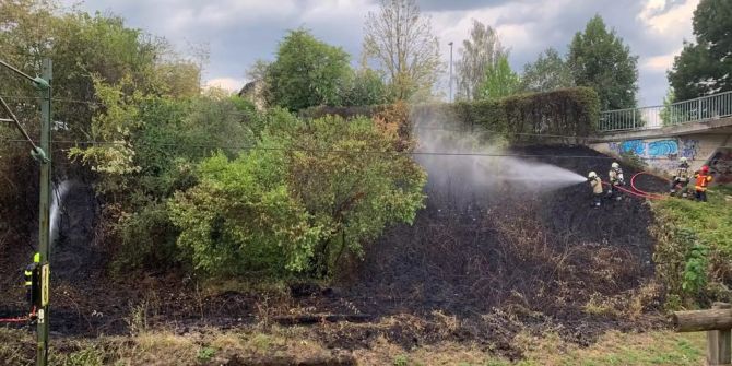 Brand