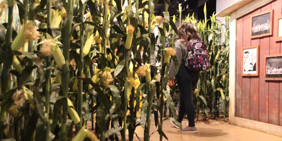 Eine Besucherin in einem Raum zum Musical «Oklahoma!» im «Museum of Broadway».