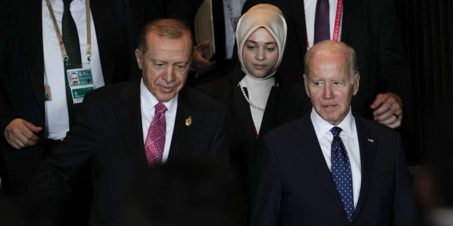 Erdogan Biden